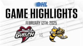 OHL Highlights: Guelph Storm @ Sarnia Sting Feb. 12, 2025