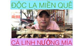 Cá Linh Nướng Mía Độc Lạ Miền Quê. Con Cá Linh To Khủng