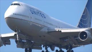 UpClose Boeing 747's of SEA Landing Compilation