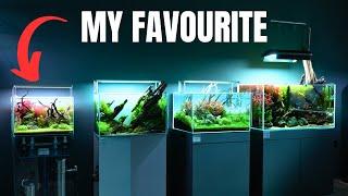 AMAZING AQUARIUM STORE TOUR! Aquascape Inspiration