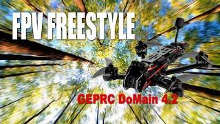 FPV Freestyle / GEPRC DoMain 4.2