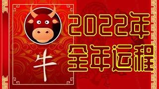 属牛2022年全年运势