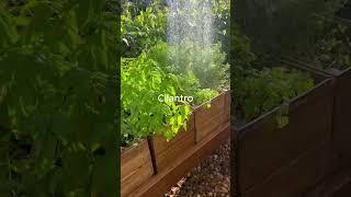 Manero's Garden Watering