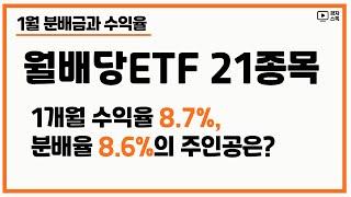 매달 분배금을 주는 월배당 ETF 21종목 ㅣ 1월 분배금과 수익율은?