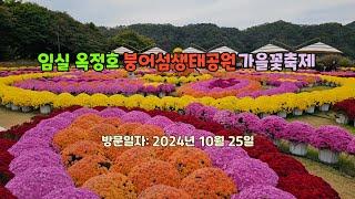 임실 옥정호 붕어섬생태공원 가을꽃축제 둘러보기