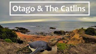 Otago Peninsula & The Catlins | New Zealand