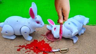 WADIDAU ‼️PROSES POTONG SAPI SIMOLASI QURBANI IDULIDHA COW RABBIT CUTTING CARTOON @toystory7209