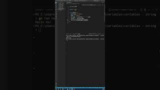 Go Language String Variable