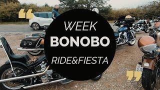 The Bonobo Week 2023