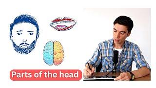 Learn Parts of the Head in Tajik