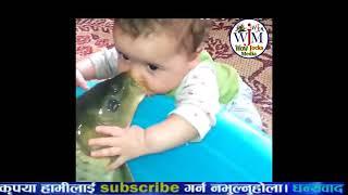 محرر YouTube, Fish (Animal), fish, animals, funny, happy, Kiss, Tank, Aquarium, Kiss (Radio Station)