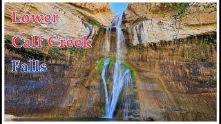 신비한 색을 가진 왕복 9.8km의 Lower Calf Creek Falls 트레일