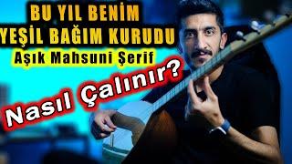 BU YIL BENİM YEŞİL BAĞIM KURUDU SOLFEJ | AŞIK MAHSUNİ ŞERİF Türküleri Kısa Sap Bağlama Dersi