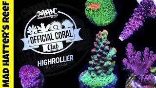 World Wide Corals Coral Club Review