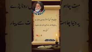 MIRZA GHALIB POETRY ️#mirzaghalib #poetry #like #subscribemychannel