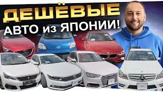 Продолжаем вывозить все авто из ЯПОНИИ️MAZDA️TOYOTA️MERCEDES️Peugeot️ЕСТЬ ВСЕ️