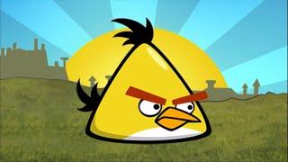 Angry Birds Sounds: Chuck Sound Effects