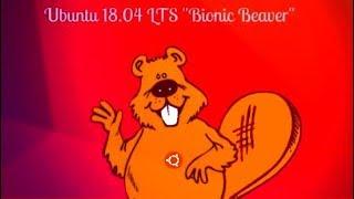 Ubuntu 18 04 LTS Bionic Beaver