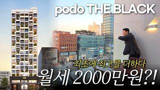 도산대로 포도더블랙 월세 2000만원?! 최초에 최고를 더하다 (No.2035) [강남하이엔드][럭셔리라이프]