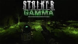 An ADHD Guide to S.T.A.L.K.E.R GAMMA (2)