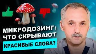 Микродозинг мухоморов – Модная добавка или смертельная опасность для здоровья? / Доктор Виктор