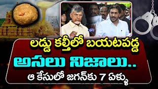 Real Facts About Tirupati Laddu issue : Today Top 10 News : PDTV News