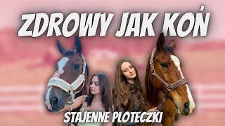 KOŃSKIE PLOTECZKI - ZDROWY JAK KOŃ 