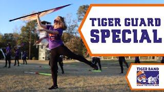 Clemson Tiger Guard