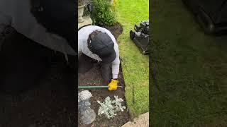 Satisfying lawn edging #satisfying #lawn #shorts #gardening