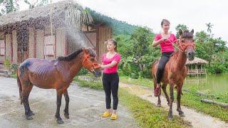 Take The Horse And Change It For a New Stronger Horse - Care And Bathe The Horse. Ly Tieu Toan