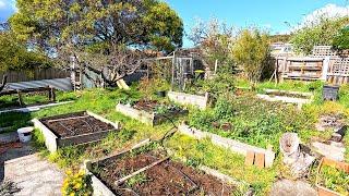 Watch us Transform and Restore this Complicated Garden | What a Mess!