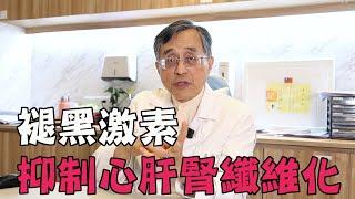 褪黑激素可以抑制心肝腎纖維化