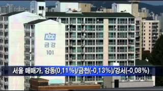 (주간시황)9.10대책 한달..서울 아파트 하락세 '여전'