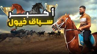 شاركت بأكبر سباق خيول في سوريا (تجربتي مع الحصان الأصيل بابل )