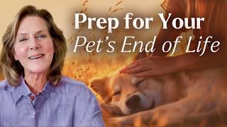 Preparing For Your Pet's End-of-Life Journey | Tami Hendrix