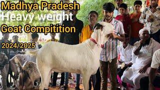 Madhya Pradesh heavy weight goat | weight gain competition | in Dewas 2024