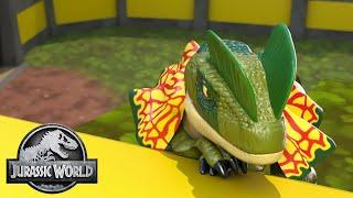 The Lonely Dilophosaurus | Jurassic World | NEW EPISODE | Kids Adventure Show | Dinosaur Cartoons