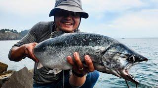 Salmon Fishing from a Jetty! (Catch and Cook)