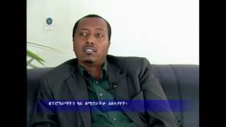 የአእምሮ ጤና Mental Health