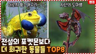 이런 동물이 실존한다고..? 전설의 포켓몬보다 더 희귀한 동물들 TOP8