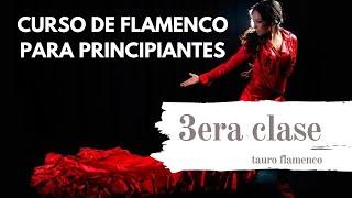 CLASE 3 PRINCIPIANTES CURSO FLAMENCO