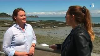 Baie du Mont-Saint-Michel : de la Bretagne à la Normandie