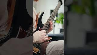 Slow Heavy Groove @polychromedsp #guitar #newriff #metal #riffhard #guitarist #metalcore