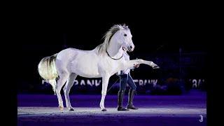 Freiheitsdressur in der German Masters Abendshow