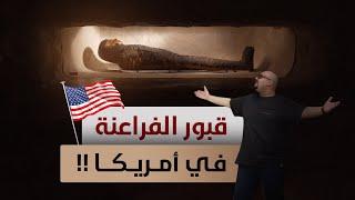 Field Museum -  تفاصيل حياتهم اشي مرعب