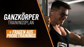 Trainiere SO in den ersten Monaten Fitnessstudio! Ganzkörperplan + häufige Fragen aus Probetrainings