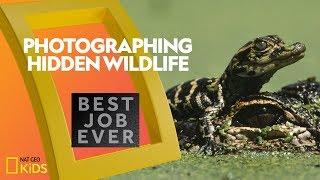 Photographing Florida's Secret Wildlife | Best Job Ever