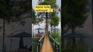 hotel made in a  tree||alpine hotel nathiagali️ #shorysvideos