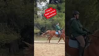How To Canter With NO Stirrups!! #canter #horse