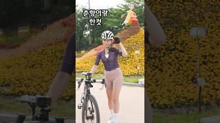여행에 자전거를 가져가면? #cycling #bicycle
